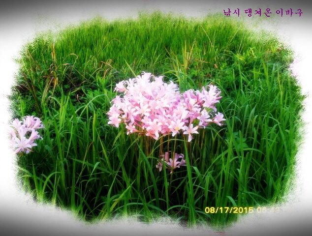 �ٹ̱�_�ٹ̱�_SDC15819.jpg