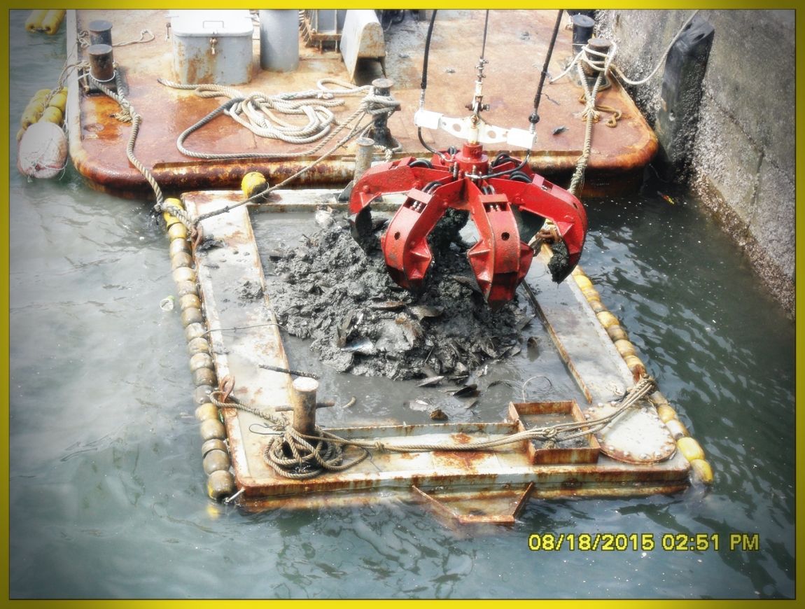 SDC15823.jpg