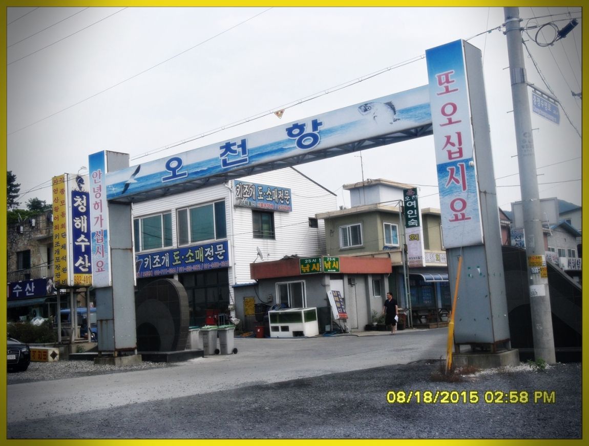 SDC15825.jpg