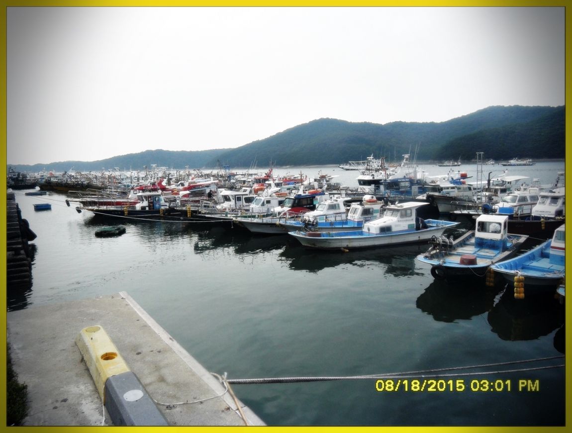 SDC15826.jpg