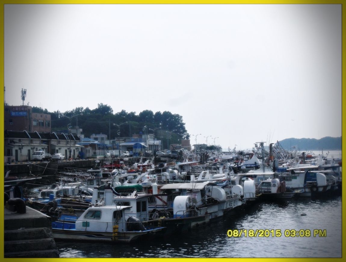 SDC15827.jpg