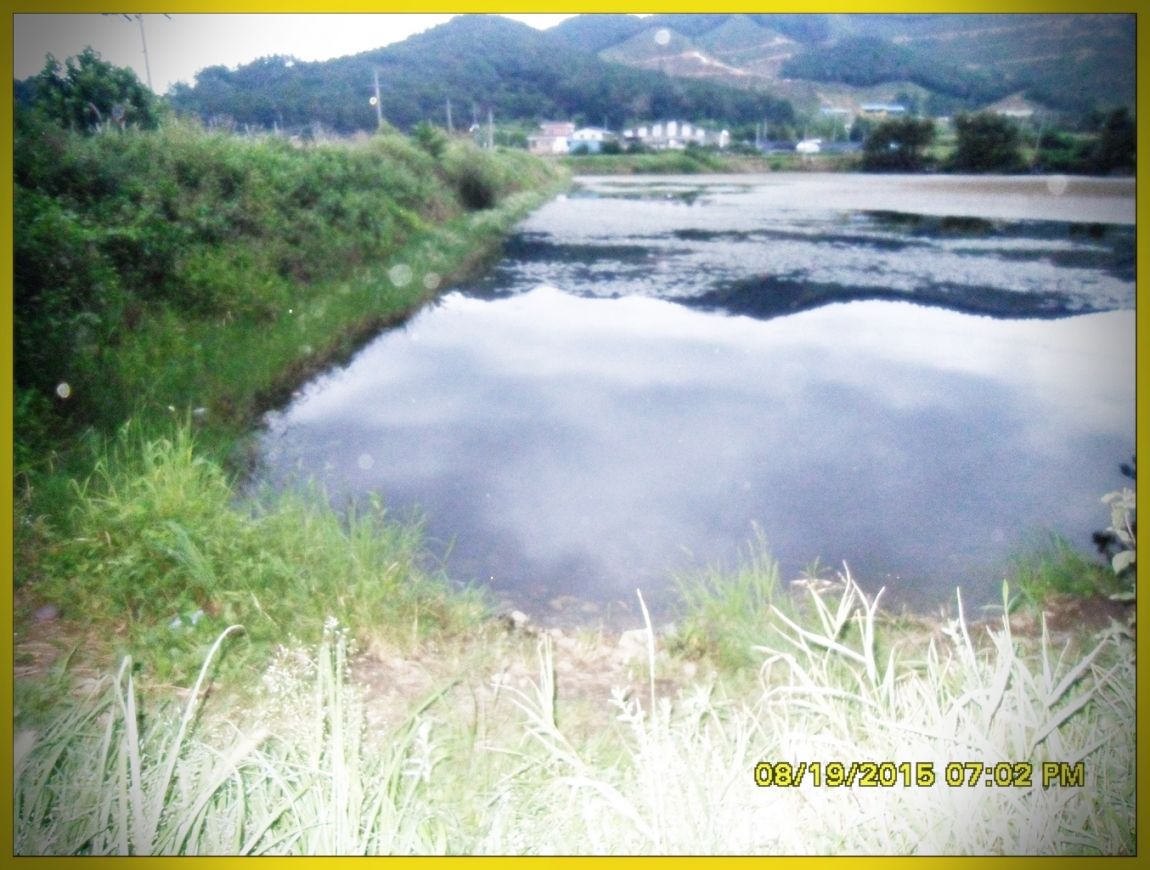 SDC15842.jpg
