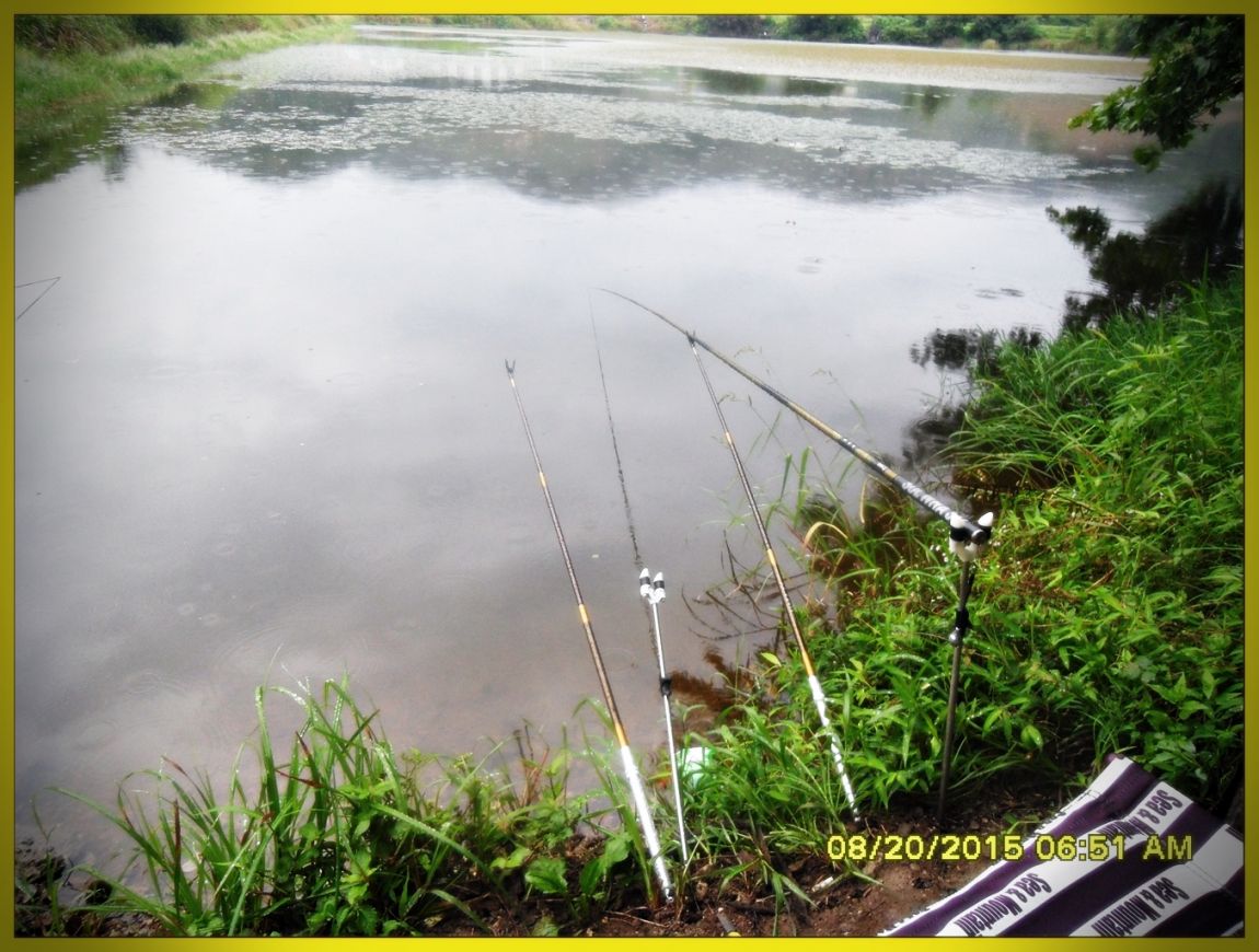 SDC15849.jpg