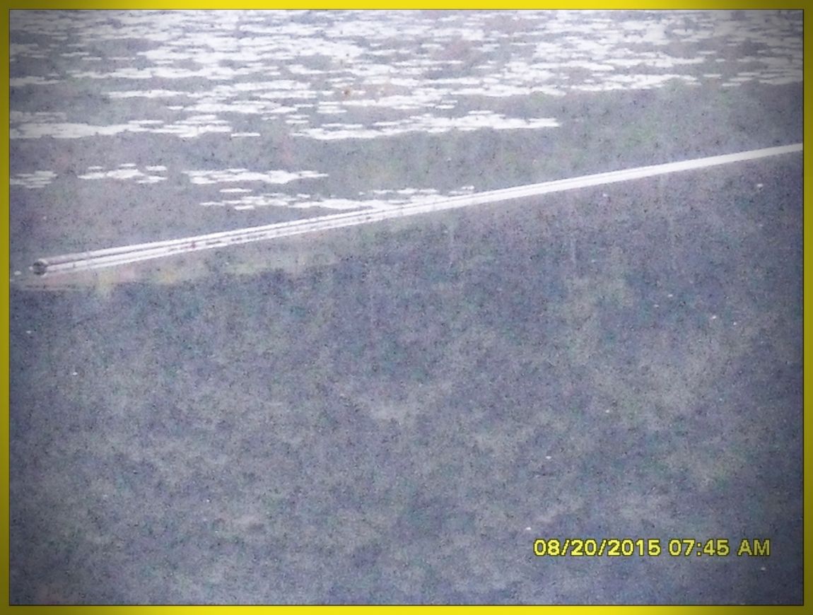 SDC15853.jpg