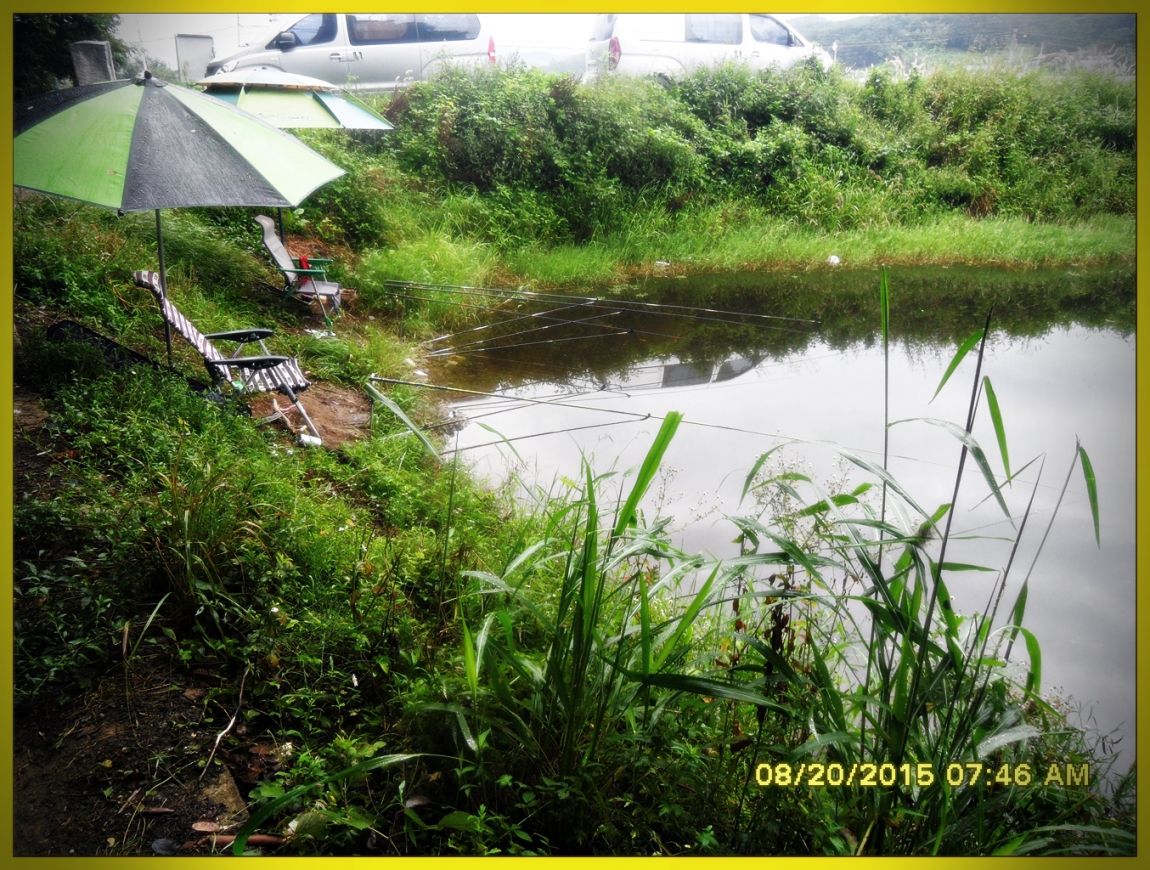 SDC15854.jpg