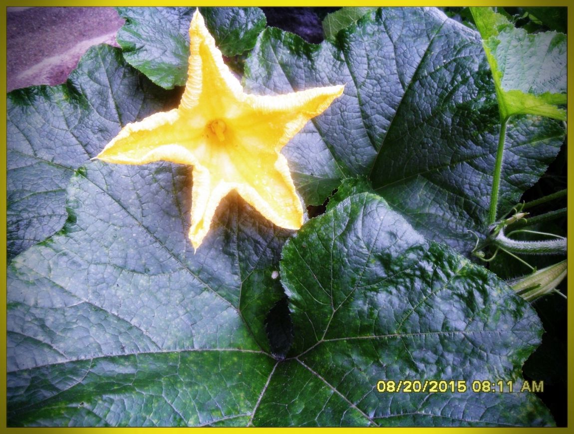 SDC15856.jpg