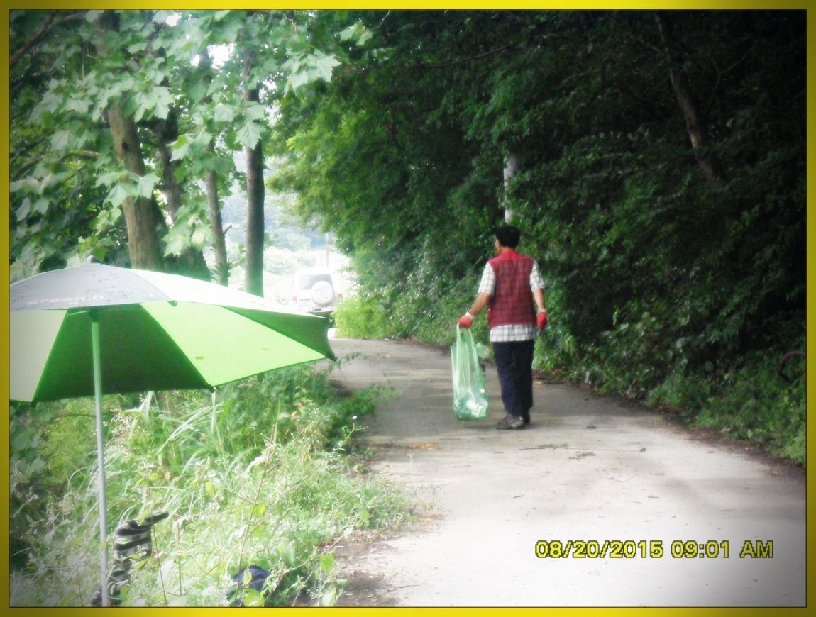 SDC15861.jpg