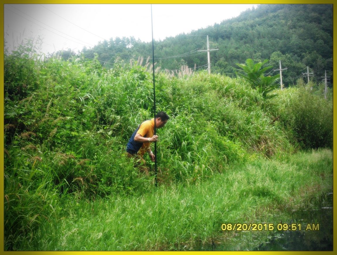 SDC15866.jpg
