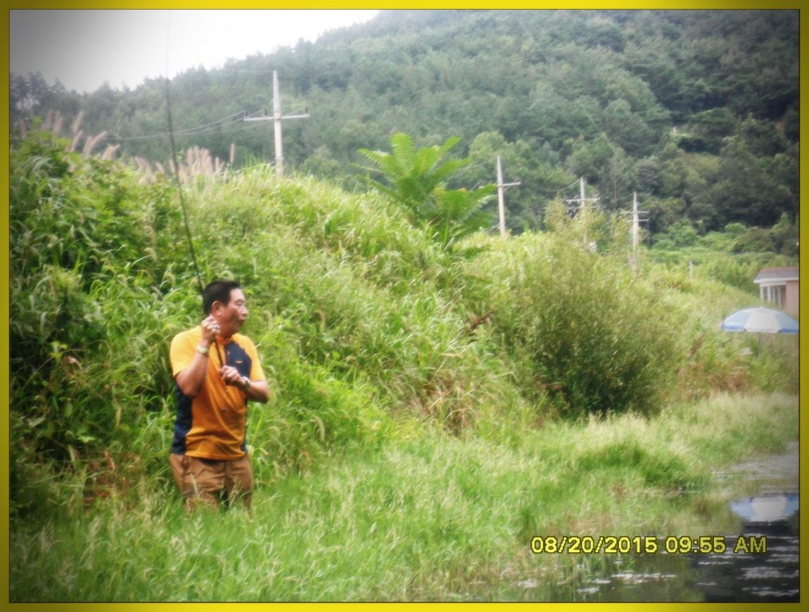 SDC15869.jpg