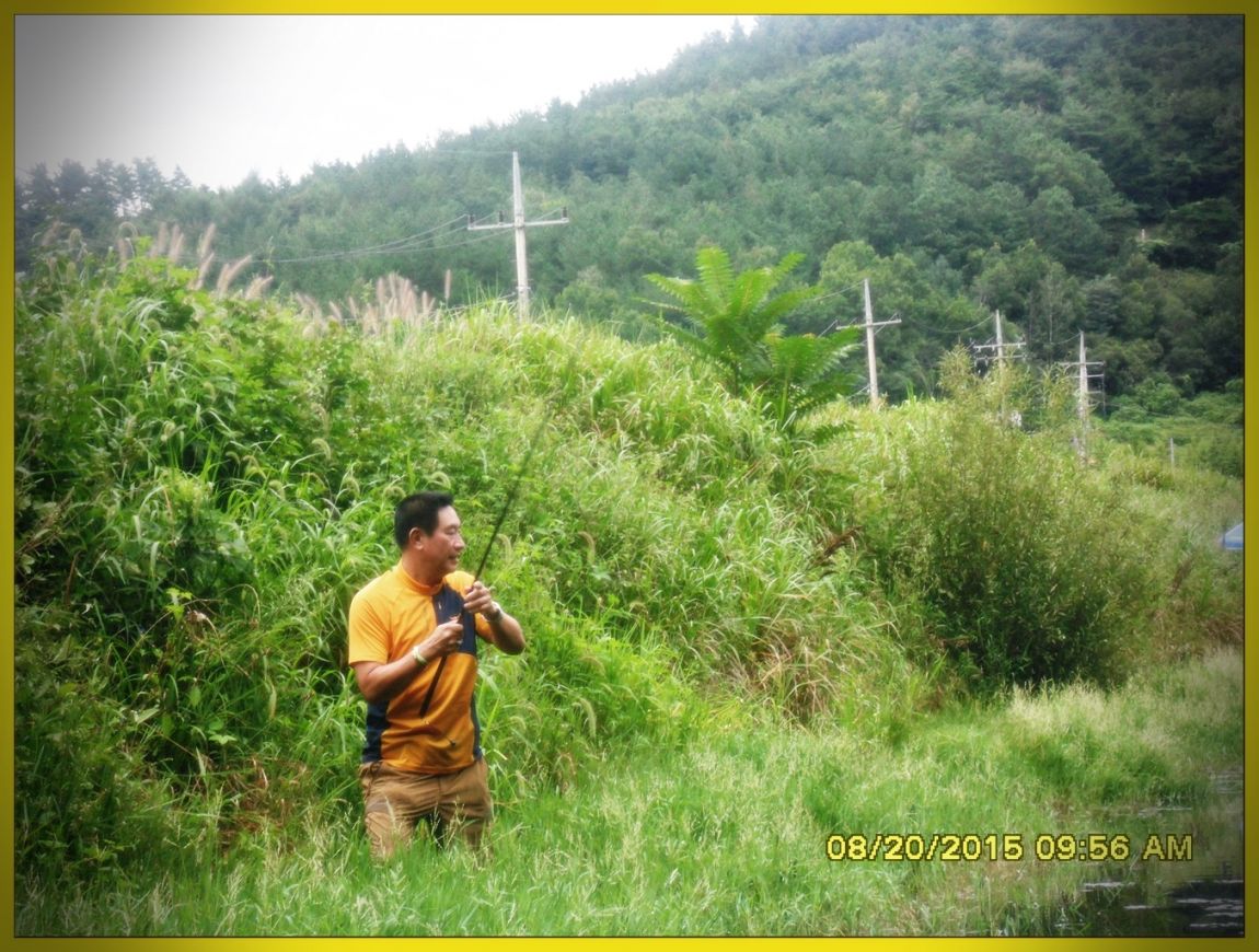 SDC15870.jpg