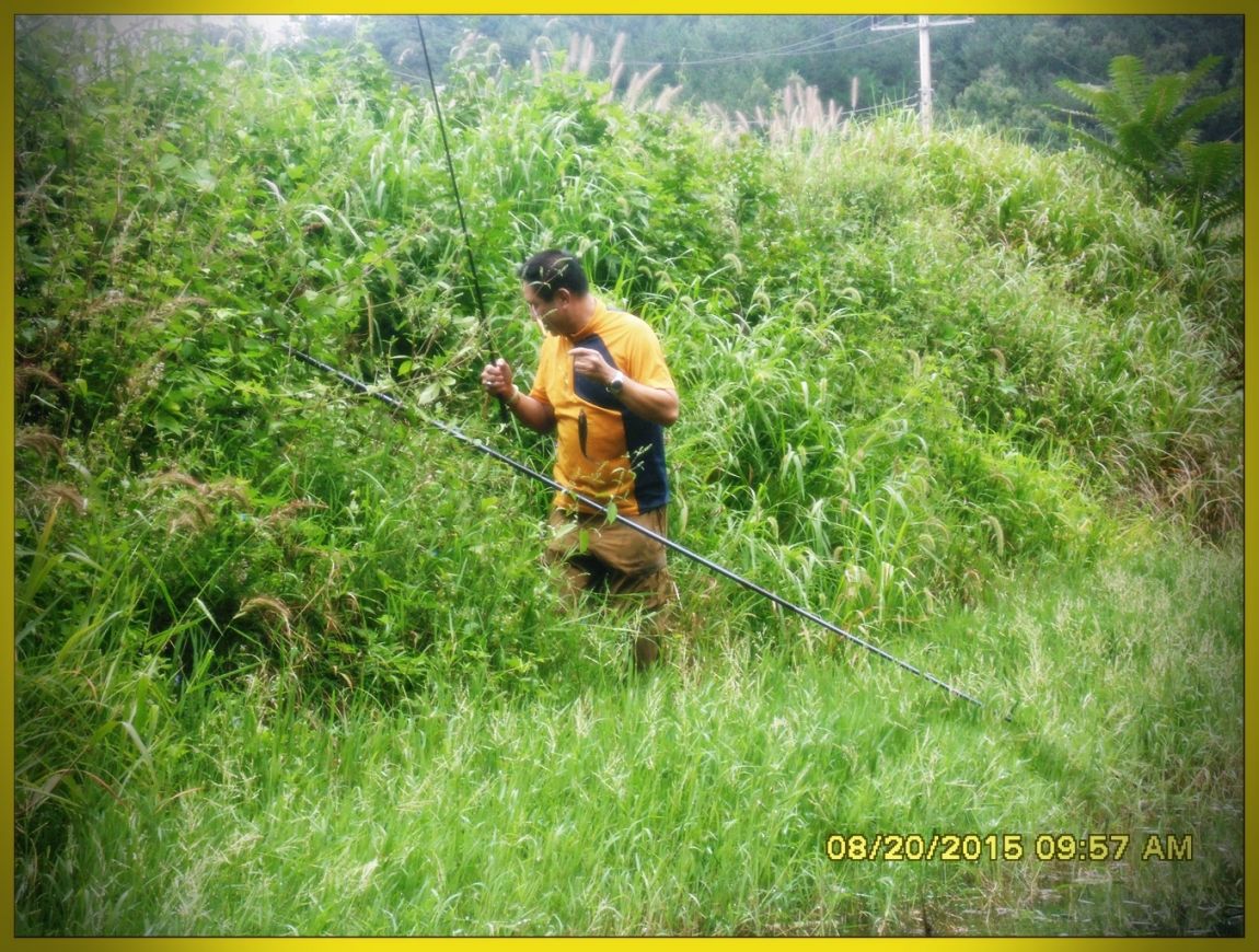 SDC15873.jpg