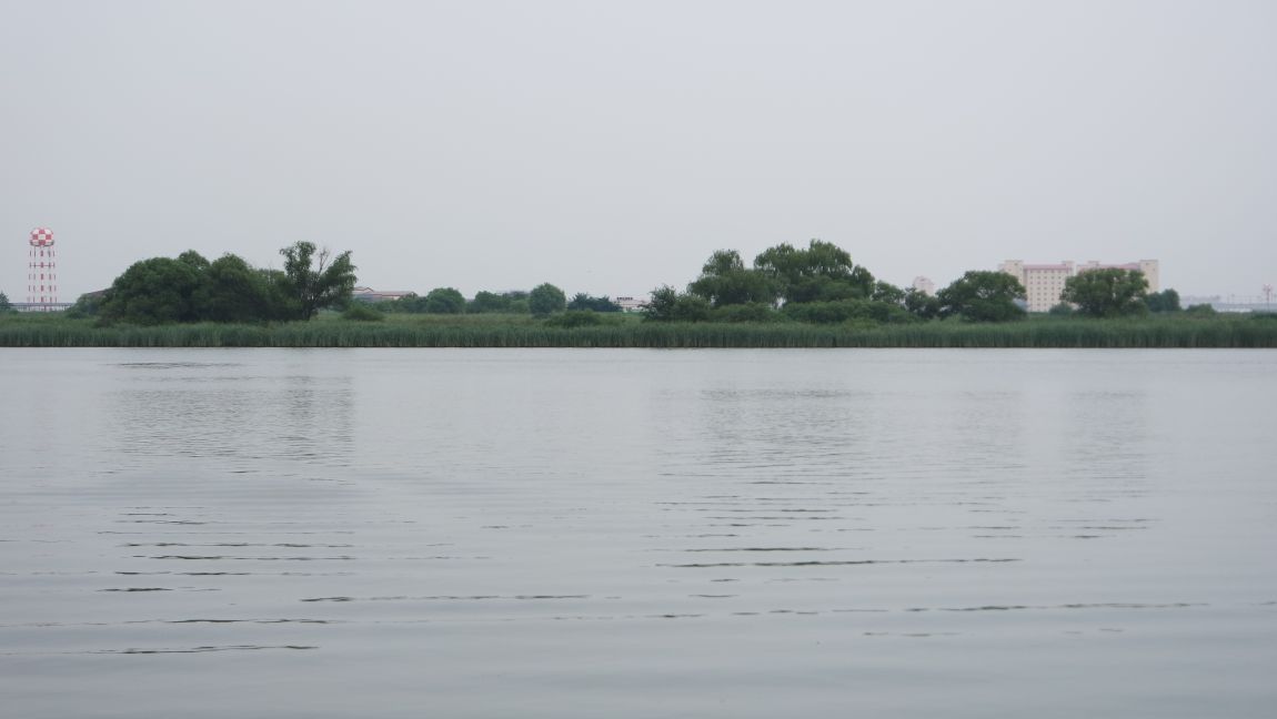 SAM_0169.JPG
