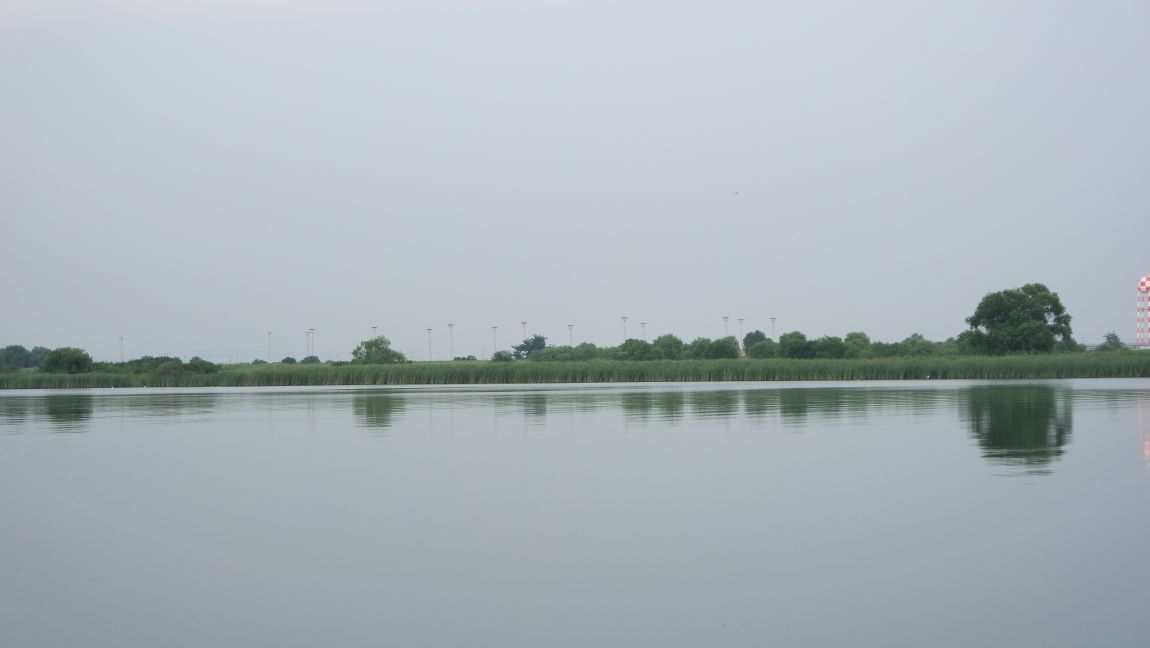 SAM_0172.JPG
