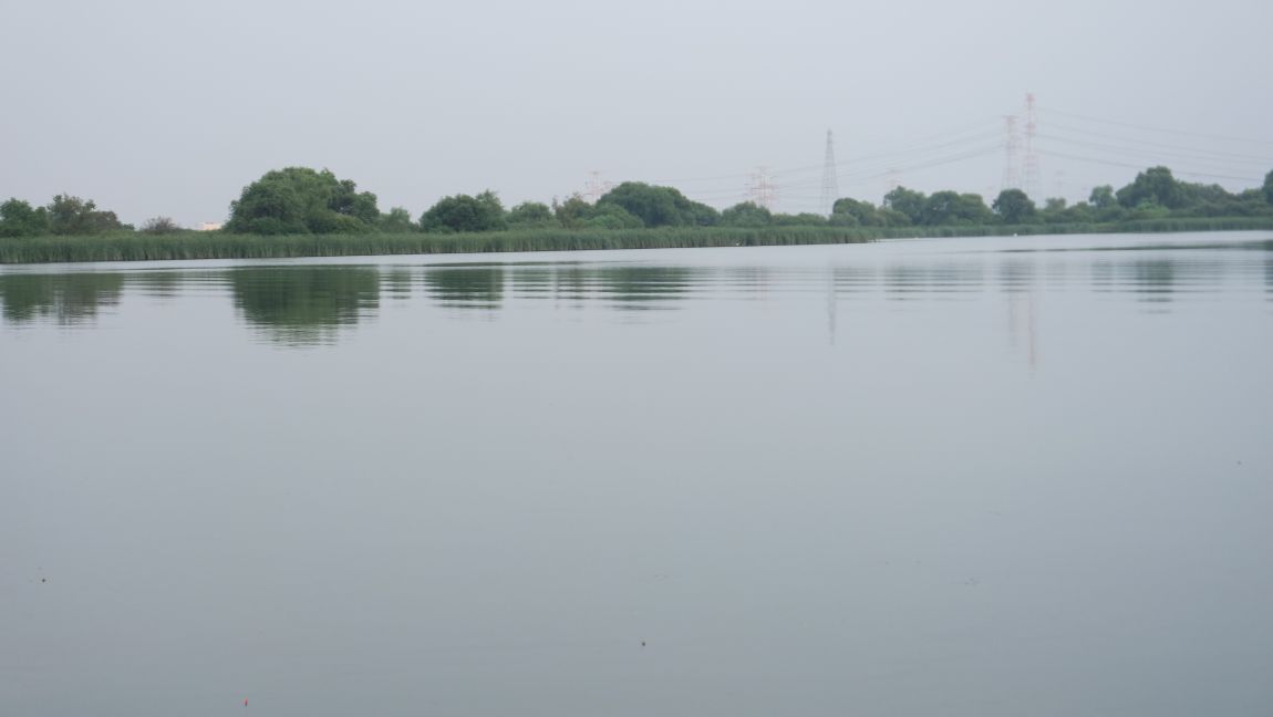 SAM_0173.JPG