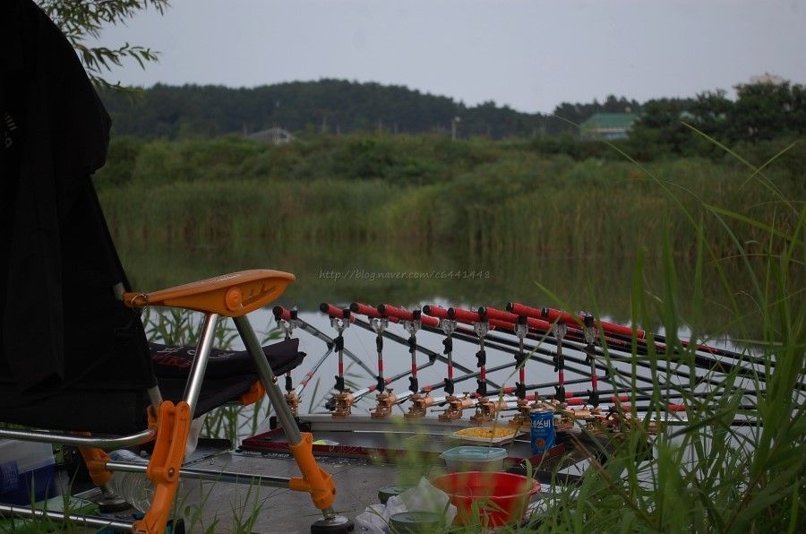 110.jpg