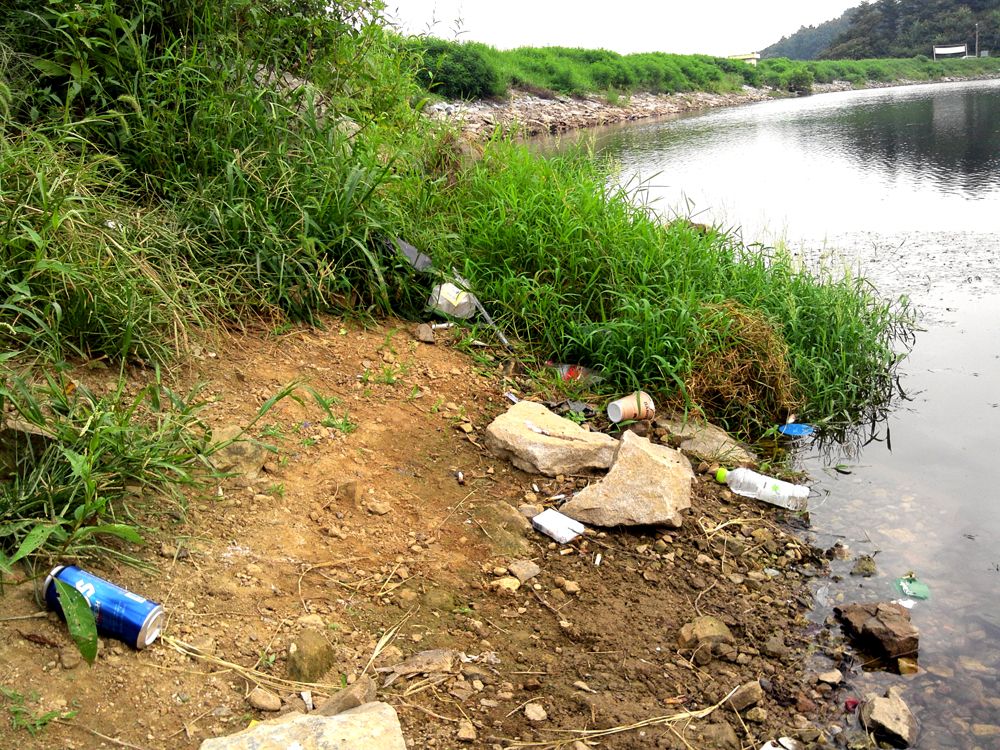 2015-09-05 17.14.10.jpg