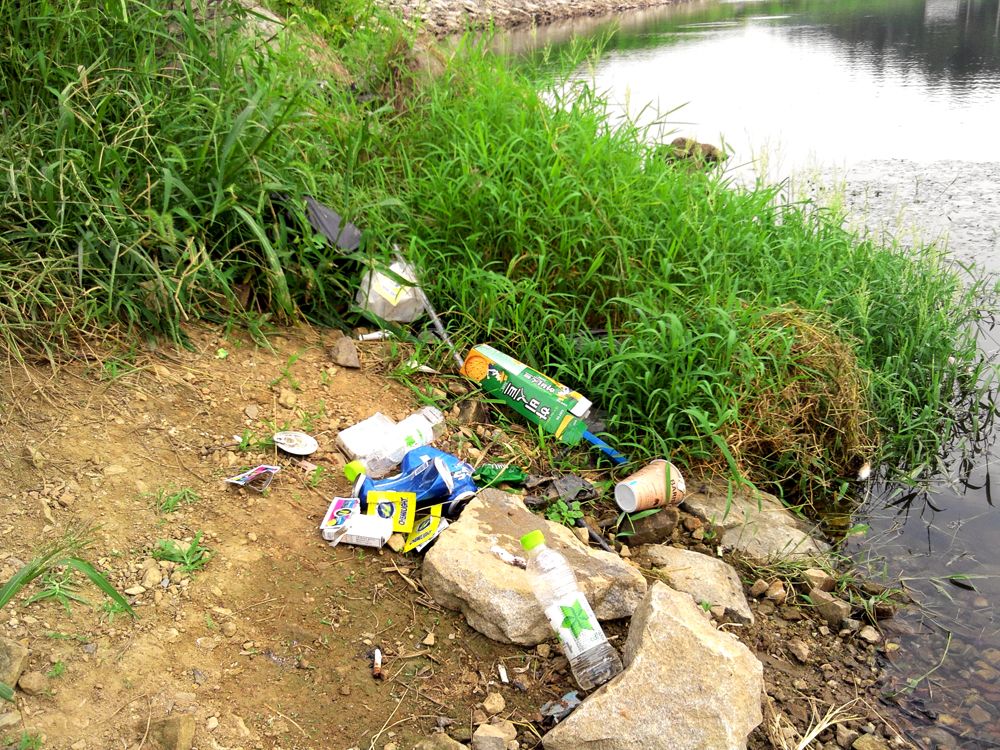 2015-09-05 17.16.46.jpg