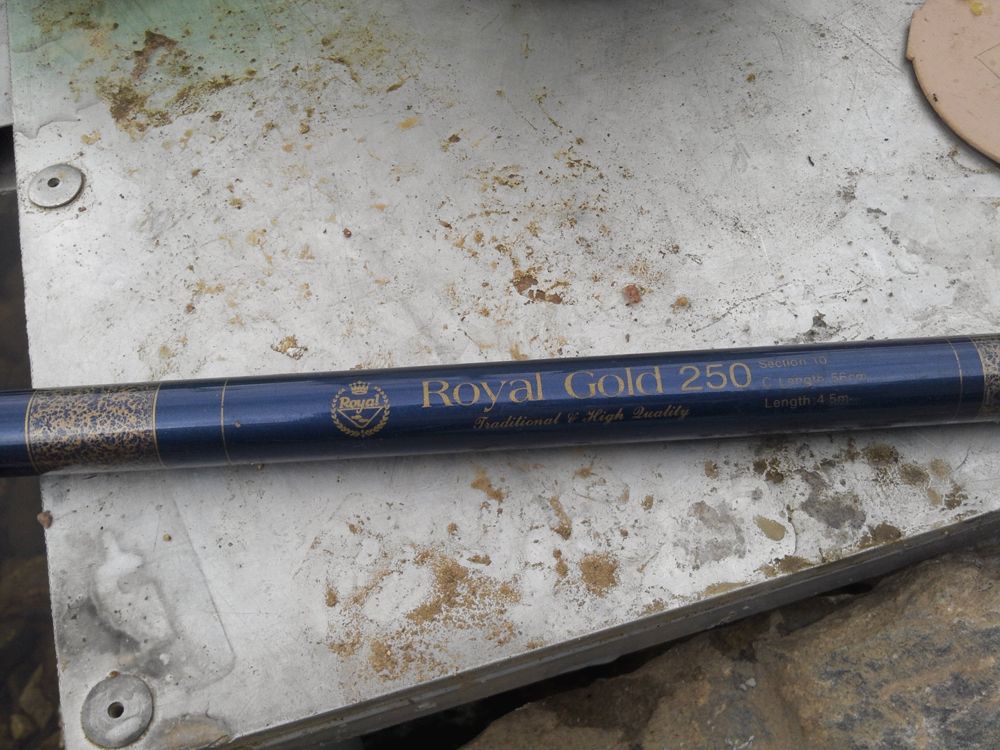 2015-09-06 12.41.02.jpg