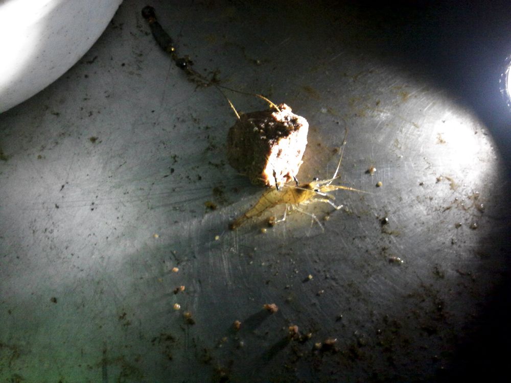 2015-09-05 21.09.28.jpg