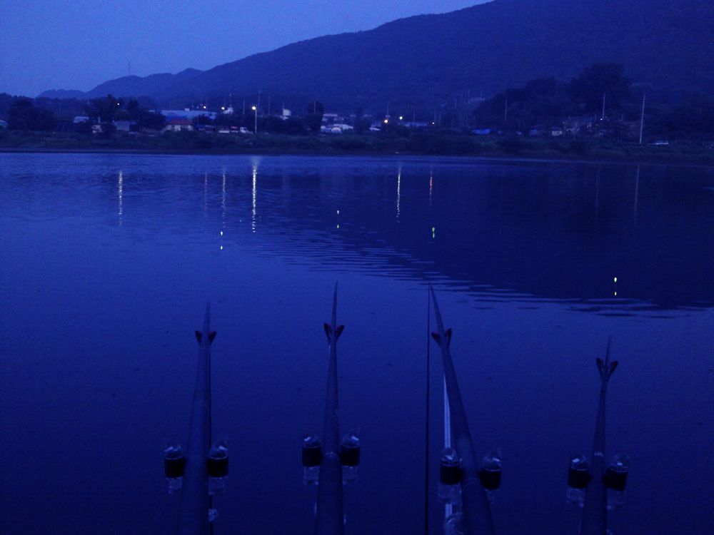 2015-09-06 05.52.jpg