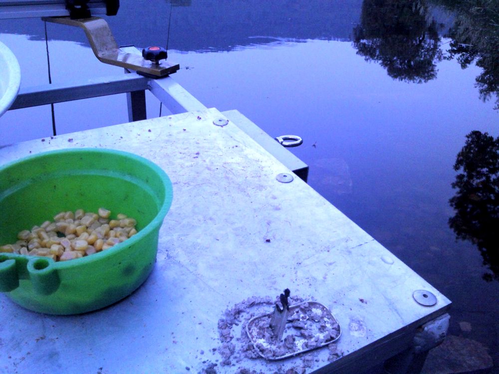 2015-09-06 05.58.45.jpg