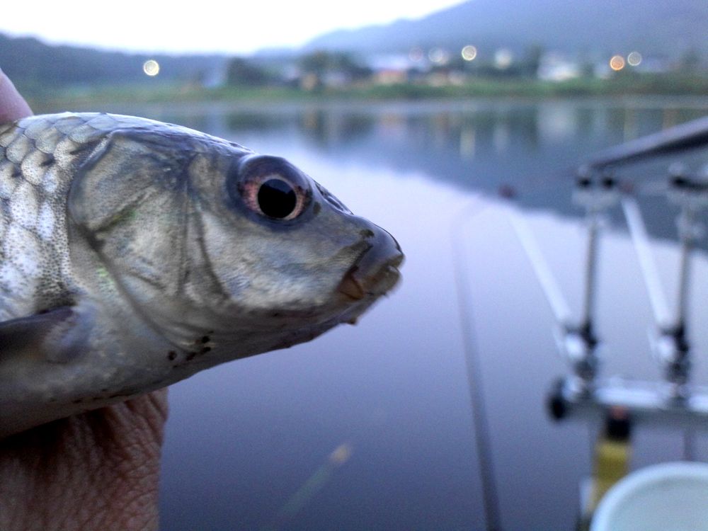 2015-09-06 06.03.59.jpg