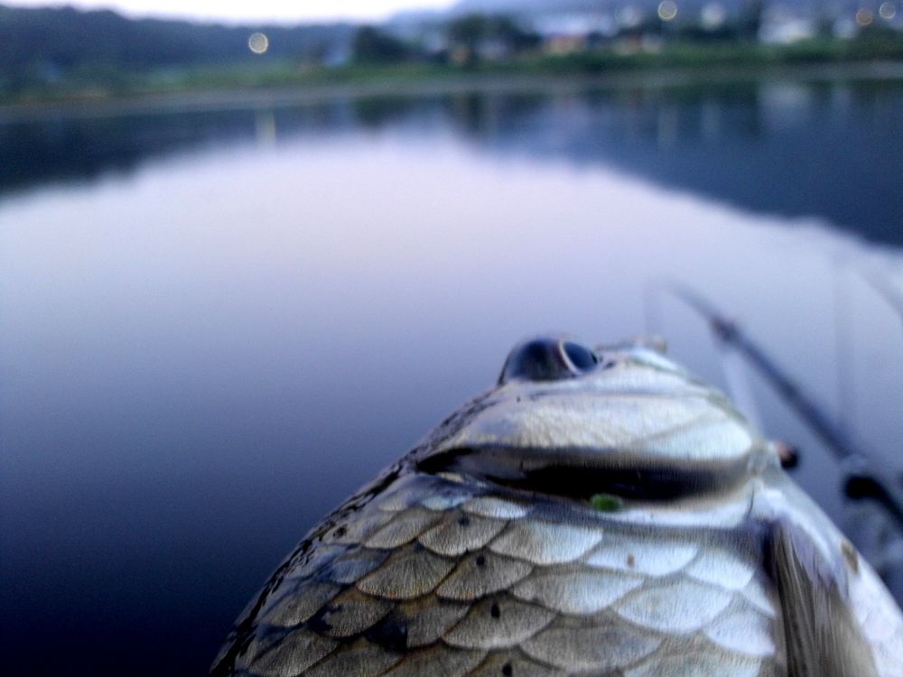 2015-09-06 06.10.05.jpg