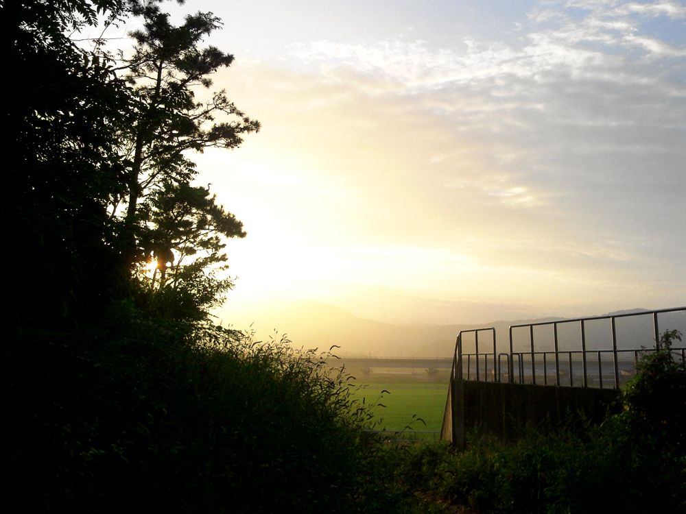 2015-09-06 06.52.10.jpg