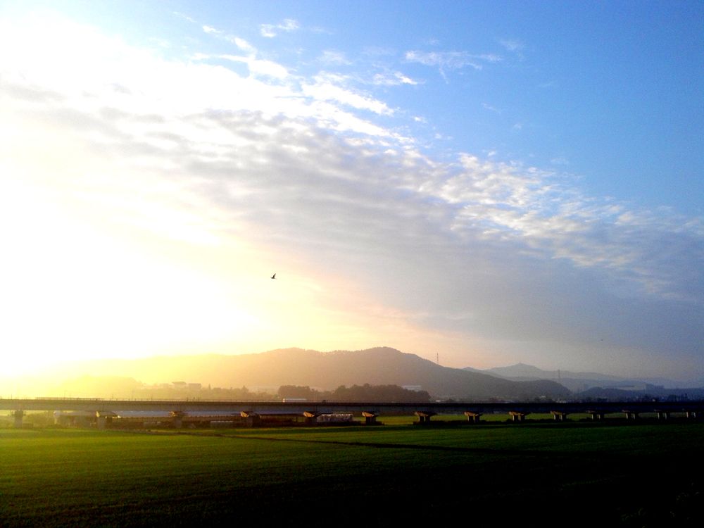 2015-09-06 06.54.39.jpg