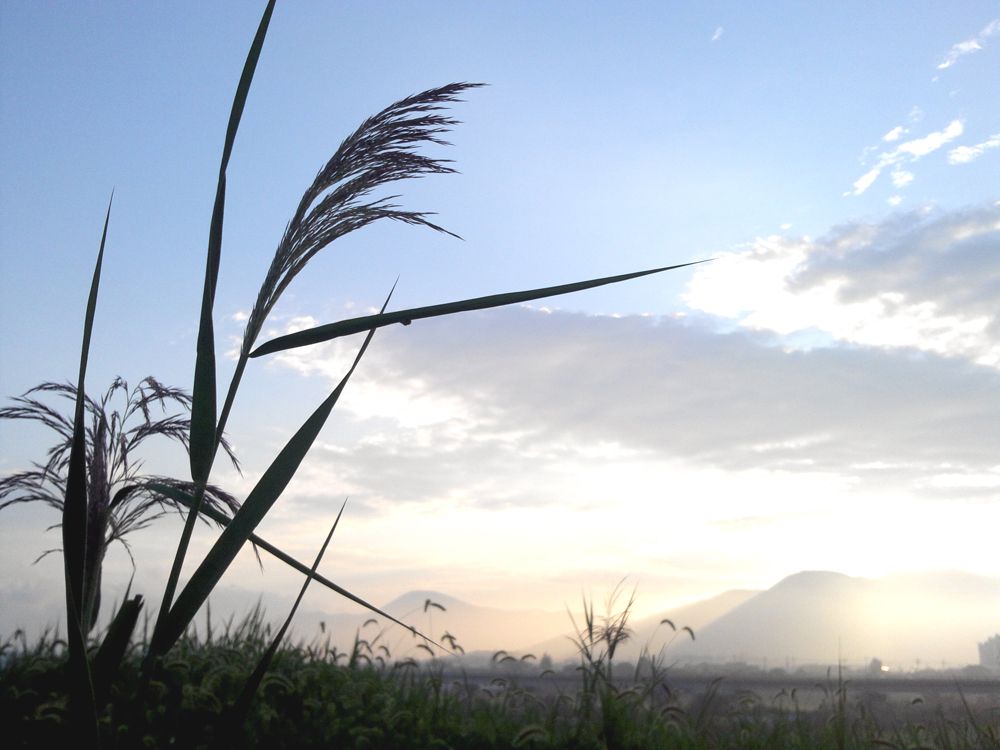 2015-09-06 06.56.58.jpg