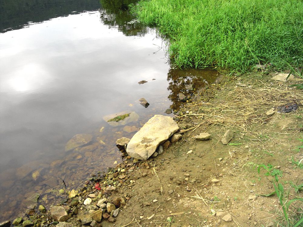 2015-09-06 13.21.27.jpg