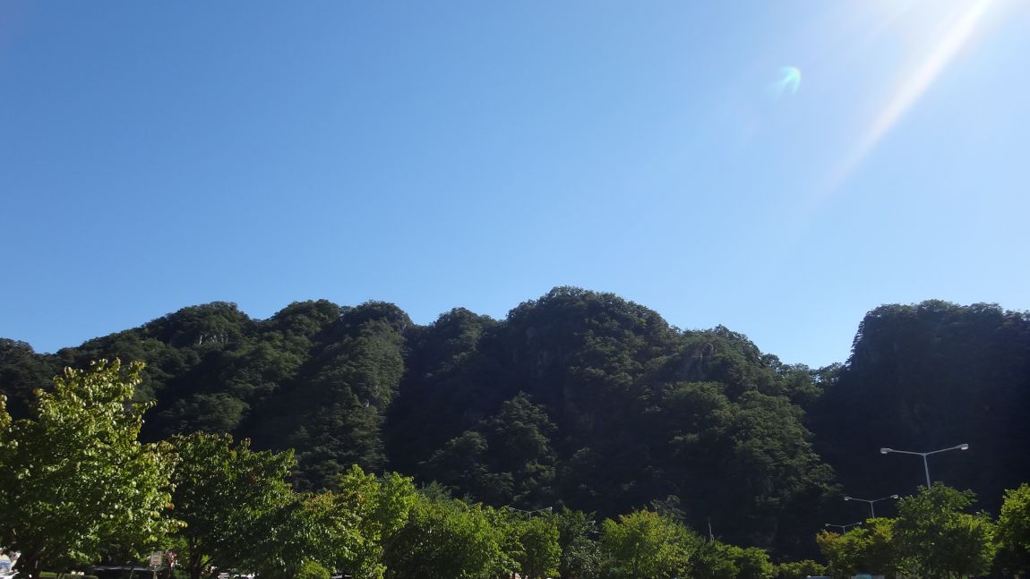 DSC08353.JPG