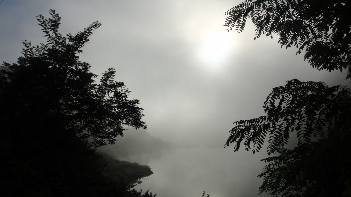DSC08502.JPG