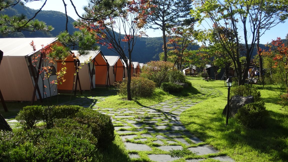 DSC08525.JPG