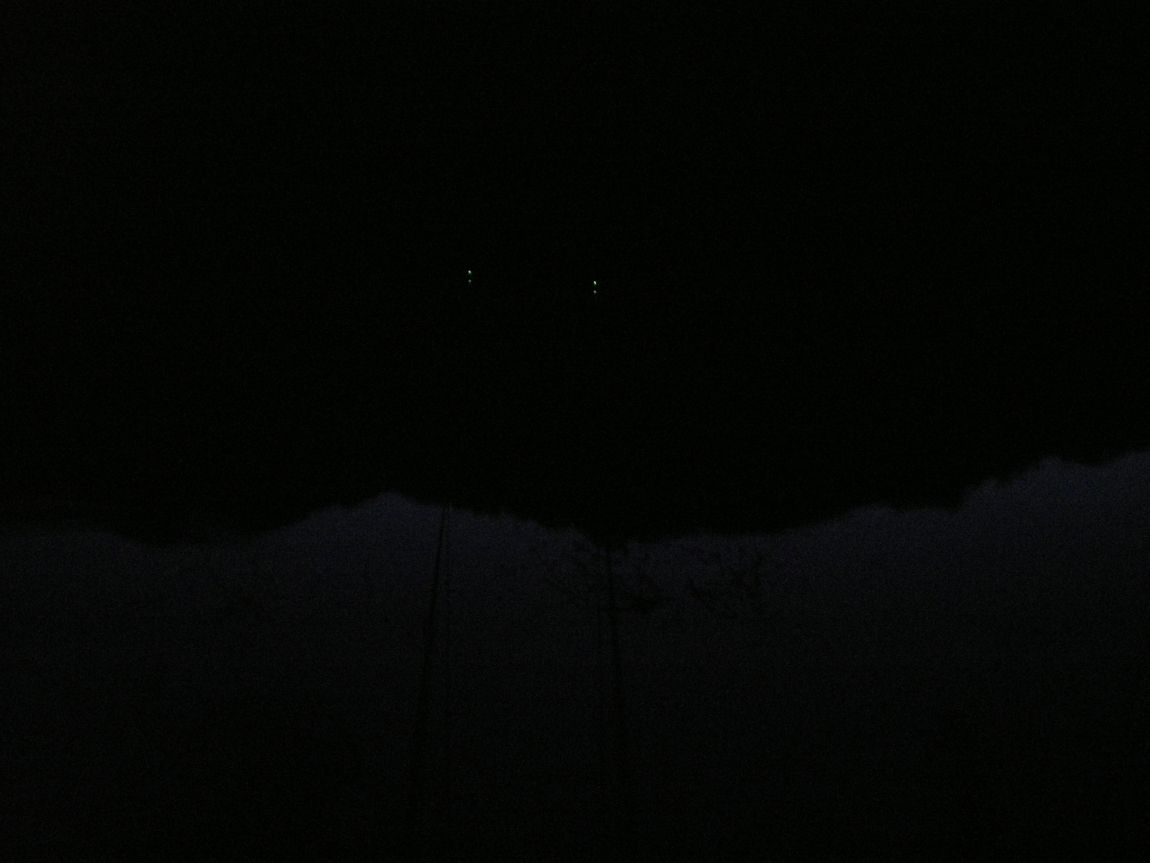 053.JPG