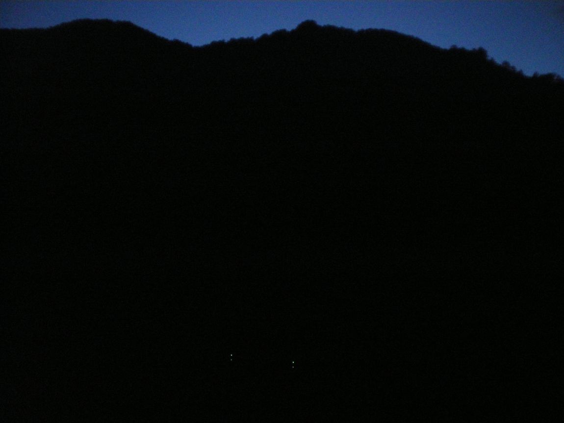 056.JPG