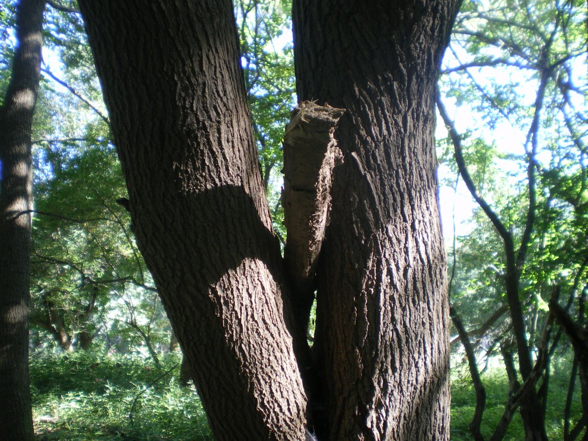 110.JPG
