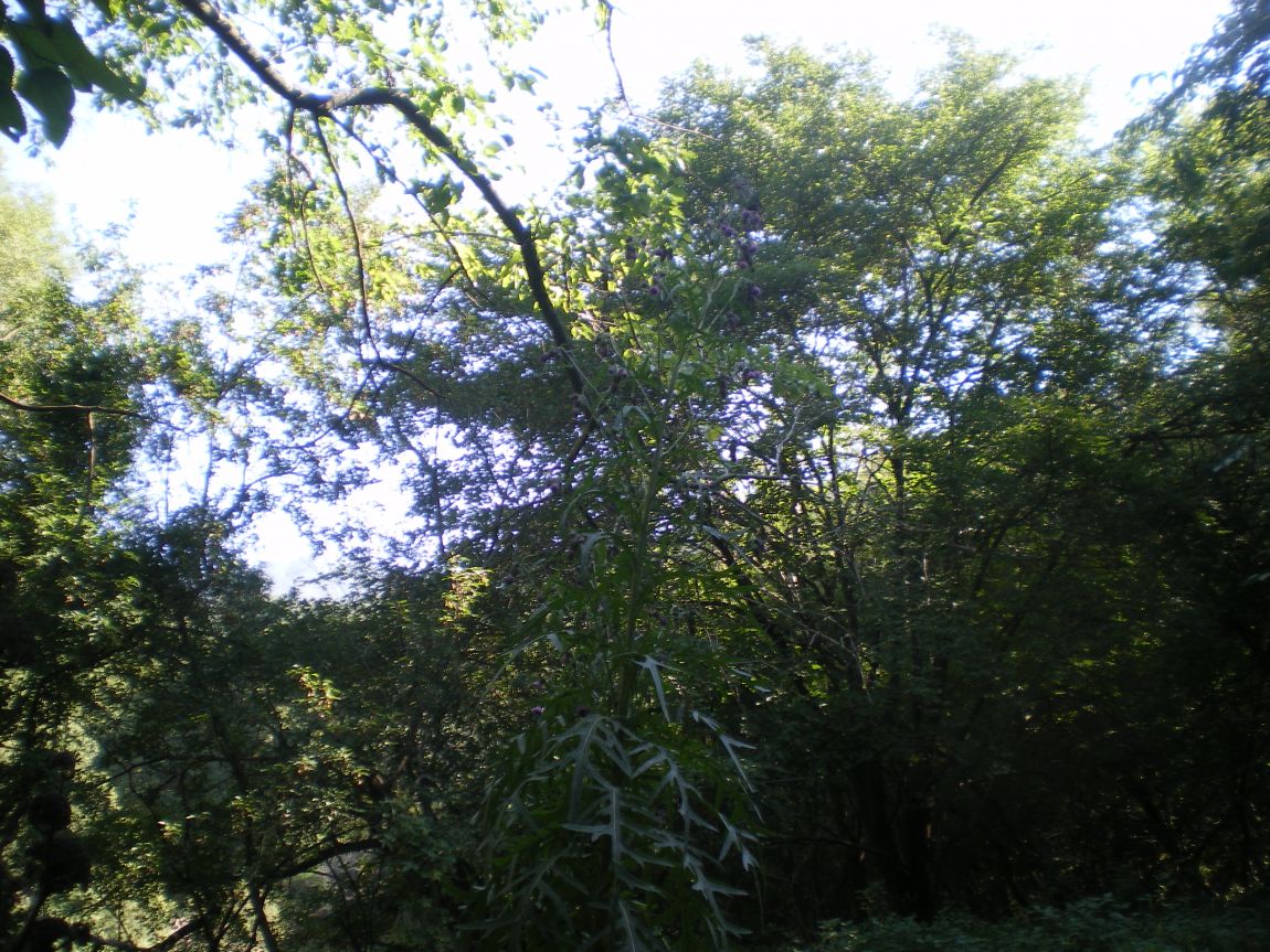 114.JPG