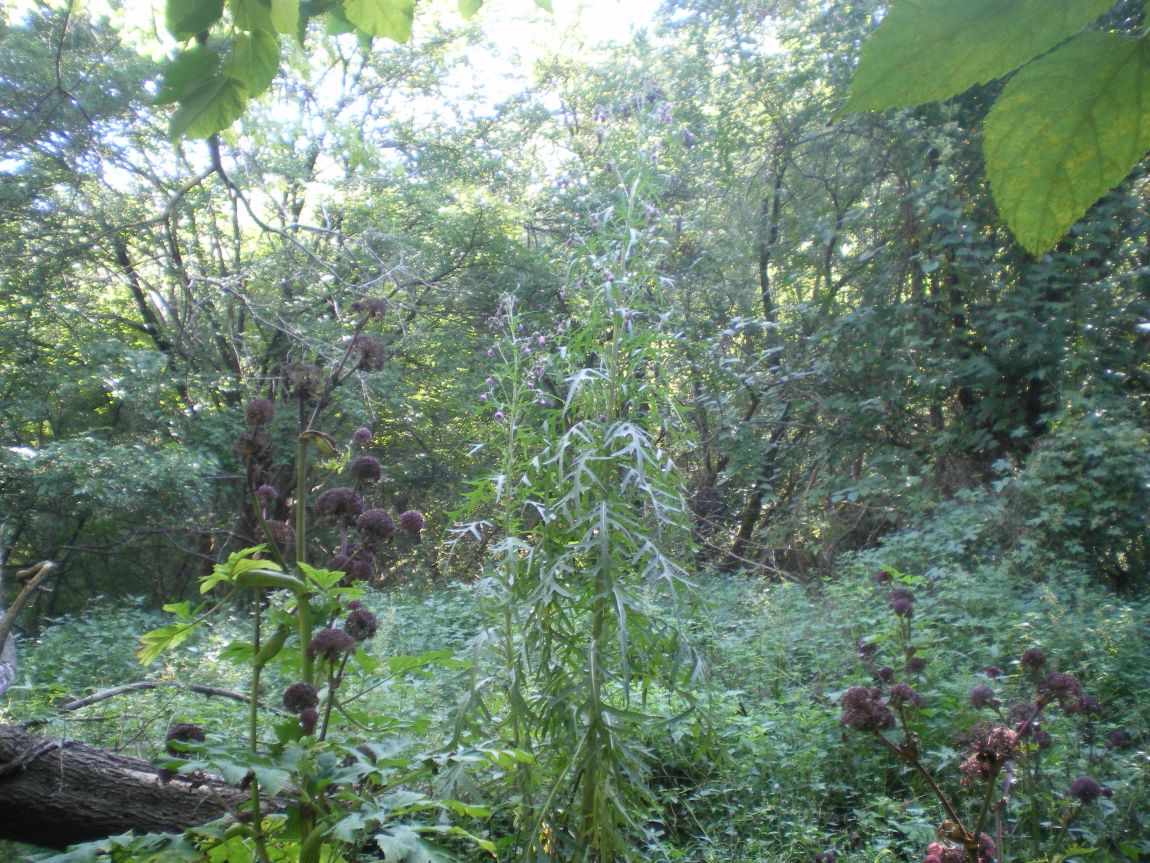 112.JPG