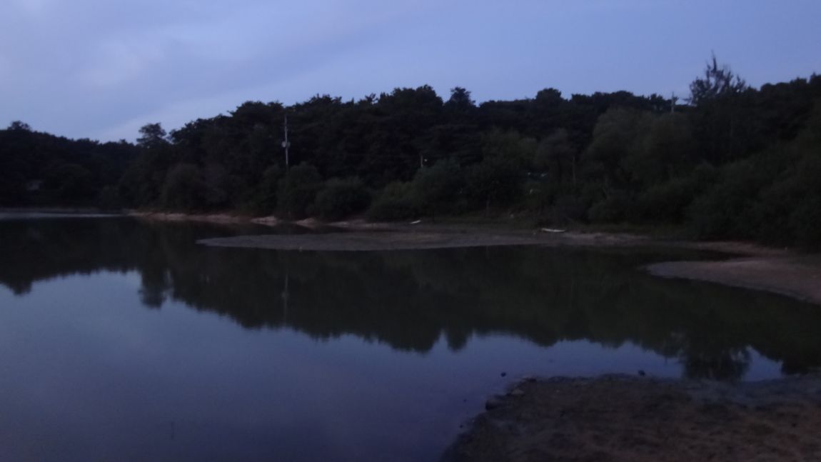 DSC08550.JPG