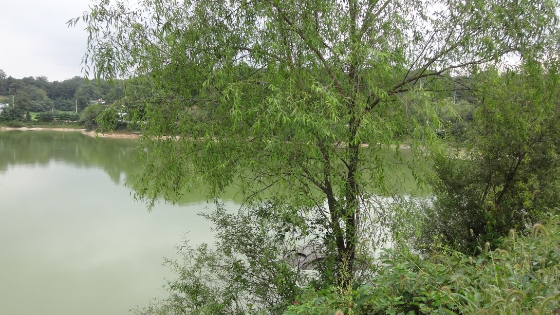 DSC08565.JPG