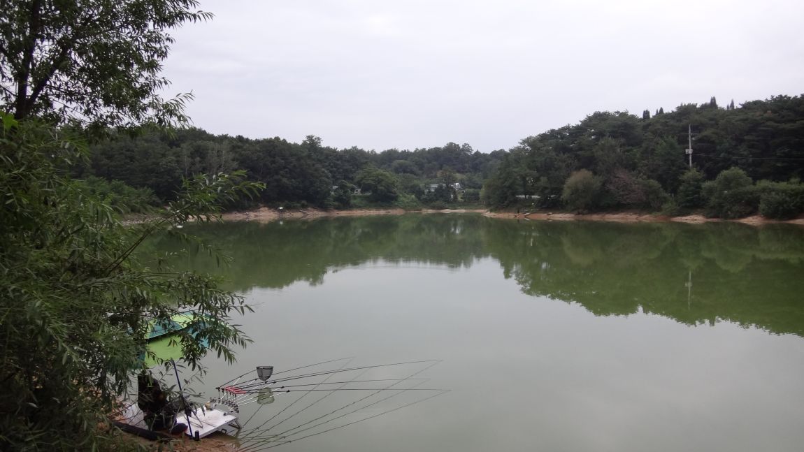 DSC08588.JPG
