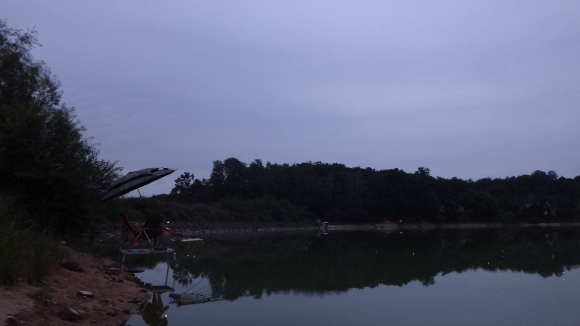 DSC08595.JPG