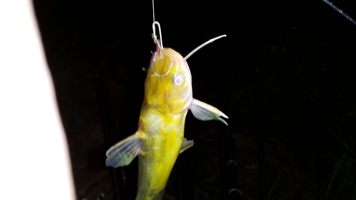 20150911_224425.jpg