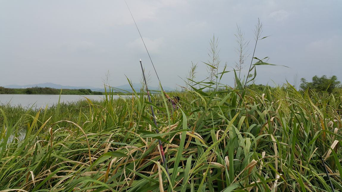 20150912_124656.jpg