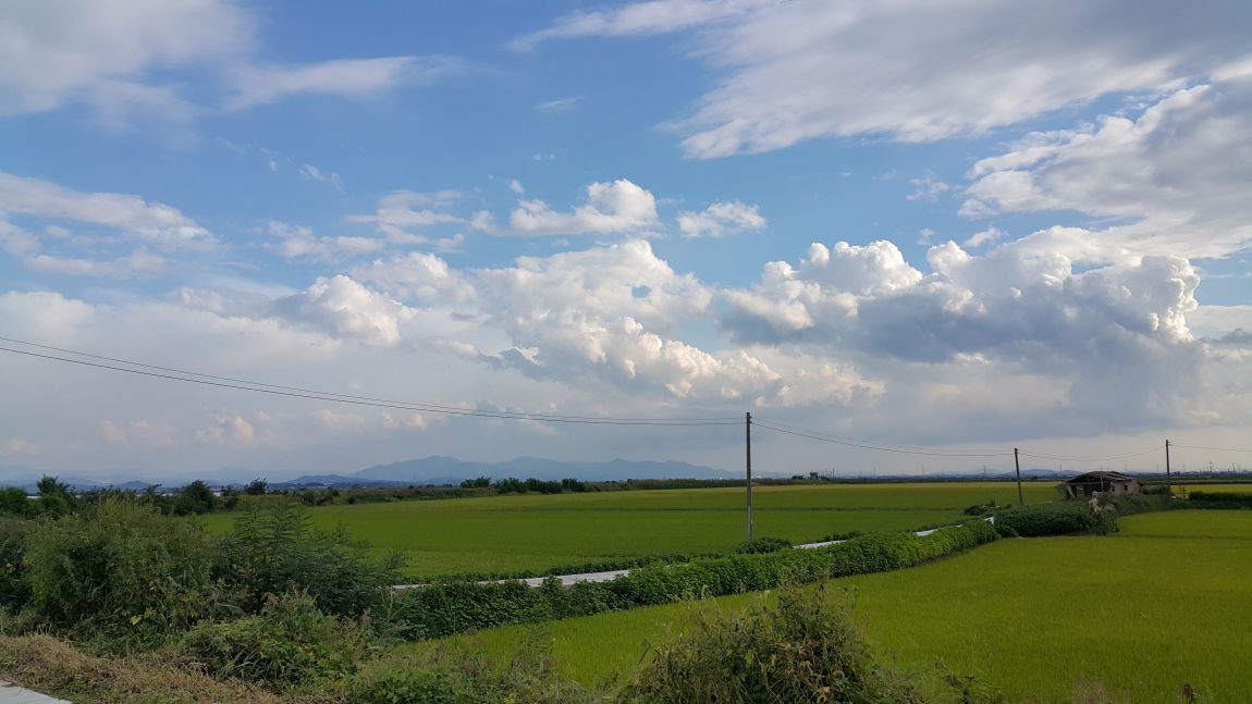 20150912_165831.jpg