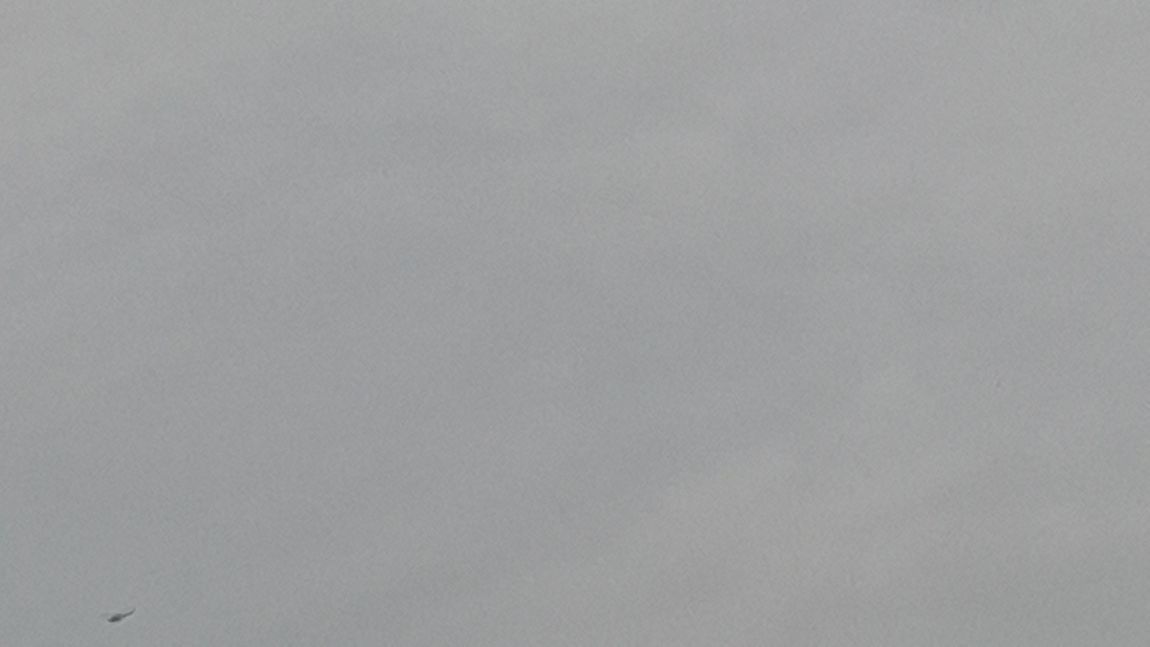 20150912_104125.jpg
