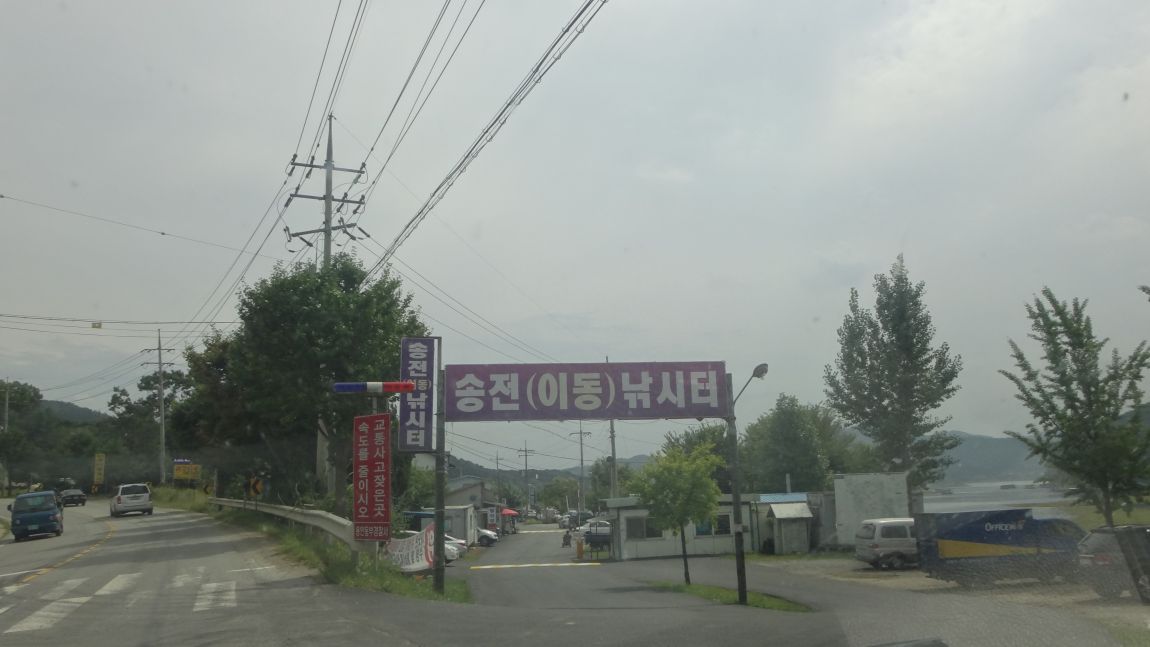 DSC08648.JPG