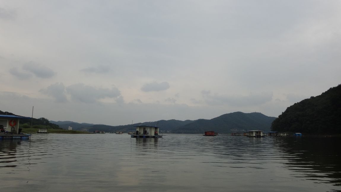 DSC08667.JPG