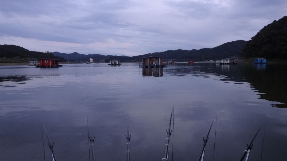 DSC08788.JPG